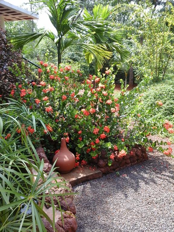 Inn Pondiville Forest Retreat Pondicherry Exterior foto